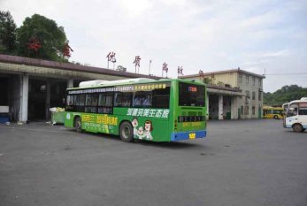 新西蘭智閣板材強(qiáng)勢登陸湖南營銷中心各路公交車